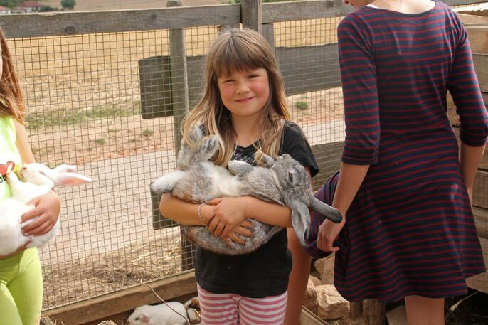Kleines Mädchen trägt Hasen